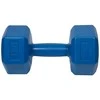 Enero Hantelių rinkinys EB Fit, 2x4kg, mėlynas