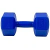 Enero Hantelių rinkinys EB Fit, 2x5kg, mėlynas