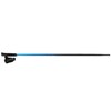 Šiaurietiško ėjimo lazdos Viking Pro Trainer, 110cm, mėlynos