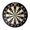 Harrows Darts taikinys BRISTOW'S FAMILY su strėl.