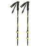 Trekingo lazdos Viking Teho Trekking Poles