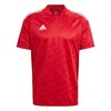 Vyriški marškinėliai adidas Condivo 21 JSY raudona GJ6802 (S)