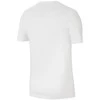 Sportiniai marškinėliai vyrams Nike Dri-FIT Park 20 M CW6952-100, balti