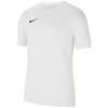 Sportiniai marškinėliai vyrams Nike Dri-FIT Park 20 M CW6952-100, balti