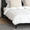 Antklodžių rinkinys su pagalve 3 pcs Balta Plunksna 3377052