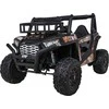 Ramiz Elektrinis Buggy UTV, Juodas