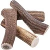 4DOGS GRIZAK XL (HARD)