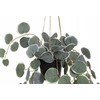 4Living dirbtinis kabantis augalas, 40 cm