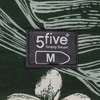 5five Simply Smart Itin storas lyginimo lentos užvalkalas