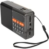 Nešiojamasis analoginis AM/FM radijas BT BLOW RA18