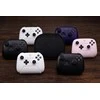 8BitDo kelioninis dėklas Ultimate Controller