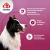 8in1 8IN1 Vitality alaus mielės šunų odai ir kailiui 260 tb