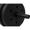 Abarqs Bituminiai hanteliai 30 kg rinkinys (2 x 15 kg)