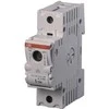 ABB saugiklis 1P 63A D02 ILTS-E1 (2CDE101001R1901)