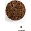 ACANA šuniukas mažos veislės 2kg