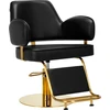 Activeshop Kirpyklos kėdė Gabbiano Professional Hairdressing Chair Linz Juodas Gold