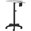 Activeshop Kosmetologinis vežimėlis GABBIANO L-121B