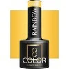 Activeshop Hibridinis lakas Ocho Nails, R01, 5 g