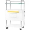 Activeshop Kosmetologo / podologo staliukas 6052T