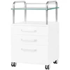 Activeshop Kosmetologinis vežimėlis 6050 Baltas