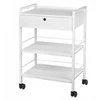 Activeshop Kosmetologinis vežimėlis 1019 GIOVANNI