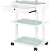 Activeshop Kosmetologinis vežimėlis 1040A GIOVANNI
