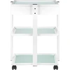 Activeshop Kosmetologinis vežimėlis 1040A GIOVANNI