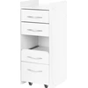 Activeshop Kosmetologinis vežimėlis Pro 969 (4 stalčiai)