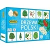 Adamigo Drzewa Polski atminties žaidimas 07882