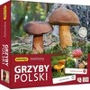Grybai Lenkijos atminties žaidimas Adamigo 07912