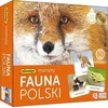 Atminties žaidimas Lenkijos gyvūnija Adamigo, PL