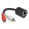 Adapteris AV Delock Stereo Audio Extender RJ45 gniazdo na 2 x wtyk Cinch Cat.5 do 50 m Rinkinys 2 sztuki