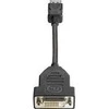 Hewlett Packard (HP) AV adapteris HP Rodyti Uostas - DVI-D juoda (FH973AT)
