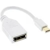 AV adapteris InLine Rodyti Port Mini - DisplayPort balta (17150W)