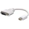 AV adapteris Lindy DVI mini - DVI- D balta (41000)