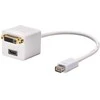 AV adapteris Lindy DVI mini - DVI- D - HDMI balta (41003)
