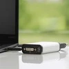 Adapteris AV StarTech DVI-I - DVI-I sidabrinė (USB32DVCAPRO)