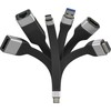 „Techly“ AV adapterio C tipo į DisplayPort/F tipo lankstusis adapteris