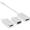 USB adapteris InLine USB-C – DisplayPort Baltas (64109S)