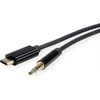 Roline USB adapteris ROLINE Adapteris USB Type C laidas – 3,5 mm garso, vyriškas/moteriškas, kompaktiškas, 3 m