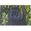 Adar Putų stalo kilimėlis „Monkey“ 60x40cm