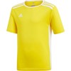 Adidas Entrada 18 Jsyy Jr CF1039 marškinėliai