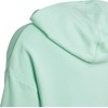 Adidas vaikiškas gobtuotas bliuzonas HR5825