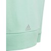 Adidas vaikiškas gobtuotas bliuzonas HR5825