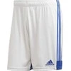 Šortai vyrams Adidas Tastigo 19 Shorts M FI6355, balti