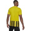 Adidas Dry-Fit 21 JSY M GV1378 marškinėliai