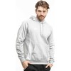 adidas Tiro 24 Sweat Hooded pilkas IR7545