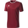 adidas Entrada 18 Jr Marškinėliai CE9564