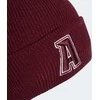 Kepurė Adidas Beanie Cuff Var OSFW IJ7299 (dangtelio dydis-OSFM)