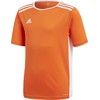 Adidas Entrada 18 JSY Y Jr CF1043 Marškinėliai